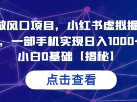 如何制作小红书爆款笔记，虚拟资料项目运营SOP