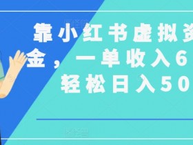 小红书虚拟课程资料能赚钱吗，真实收益数据揭秘