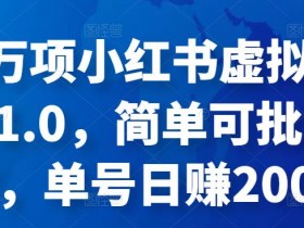 小红书虚拟课程资料能赚钱吗，真实收益数据揭秘