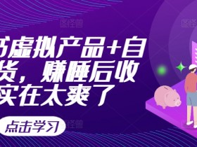 小红书虚拟资料系统搭建，技术细节与实战指南