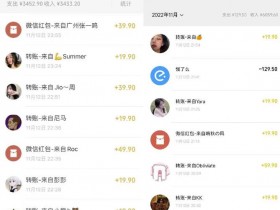 小红书虚拟资料项目选什么类目，蓝海赛道推荐
