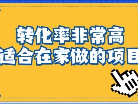 虚拟资料项目收益分析，小红书平台赚钱案例分享