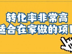 小红书虚拟资料项目选什么类目，蓝海赛道推荐