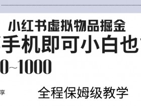小红书虚拟资料项目选什么类目，蓝海赛道推荐