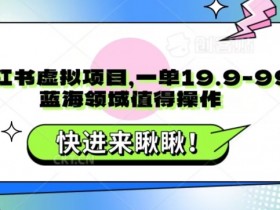 小红书卖虚拟商品开店教程，快速上线指南