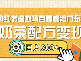 小红书虚拟资料项目怎么玩，新手入门到精通全攻略