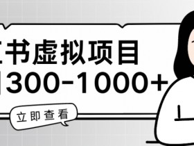 小红书虚拟资料项目怎么玩，新手入门到精通全攻略