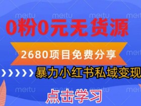 小红书虚拟资料项目怎么玩，新手入门到精通全攻略
