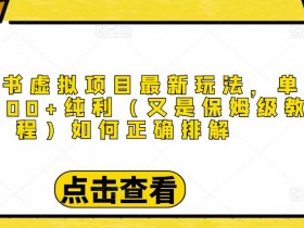小红书虚拟资料项目怎么玩，新手入门到精通全攻略