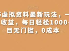 虚拟资料项目全攻略，小红书蓝海玩法快速变现