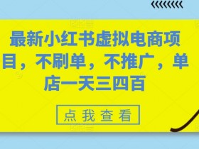 如何在小红书卖虚拟资料，赚钱冷门项目详细教学