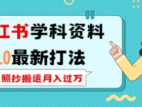 学科虚拟资料项目怎么玩，小红书快速引流成交攻略