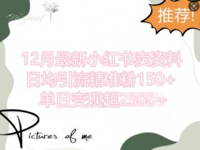 小红书矩阵推广实战案例，日增500+流量的操作细节解析