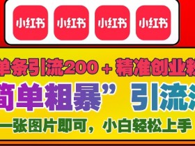 小红书图文矩阵玩法解析，引流到私域的爆款内容策略