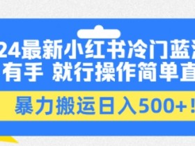 小红书图文矩阵玩法解析，引流到私域的爆款内容策略