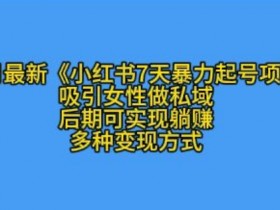 小红书图文矩阵玩法解析，引流到私域的爆款内容策略