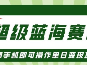 小红书矩阵推广实战案例，日增500+流量的操作细节解析