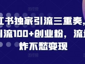小红书矩阵推广怎么做，日引精准创业粉200+的方法解析