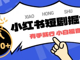 小红书矩阵推广怎么做，日引精准创业粉200+的方法解析