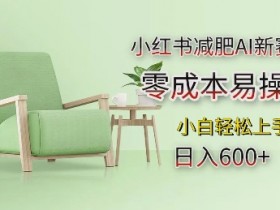 小红书矩阵引流新手入门，从账号搭建到内容运营的全流程