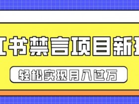 小红书矩阵推广引流术，批量化图文发布轻松涨粉100+