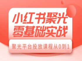 小红书矩阵推广引流术，批量化图文发布轻松涨粉100+