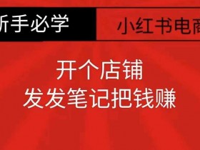 小红书矩阵推广引流术，批量化图文发布轻松涨粉100+