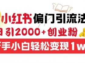 揭秘小红书图文矩阵引流术，轻松日引300+精准流量的方法