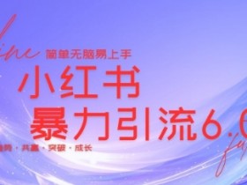 如何用小红书矩阵批量发布图文，引流到私域的实操方法