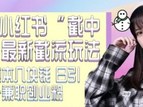 如何用小红书矩阵批量发布图文，引流到私域的实操方法