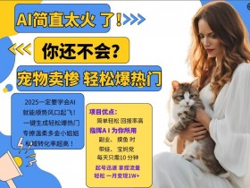 小红书旅游项目收益揭秘，从分类到推广的全流程教学