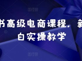 小红书旅游项目适合哪些人，冷门赛道的高利润玩法揭秘