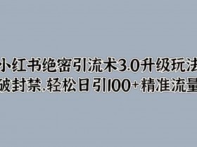 如何通过小红书卖旅游攻略，一单十万的操作方法揭秘