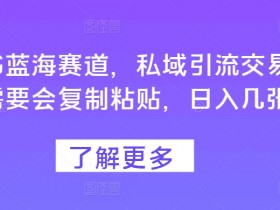 如何推广旅游虚拟项目，小红书冷门赛道全攻略+案例