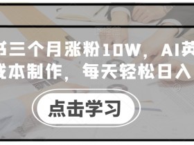 揭秘小红书旅游项目的玩法，从引流到私域的收益模式