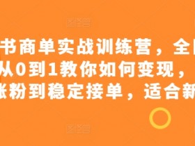 揭秘小红书旅游项目的玩法，从引流到私域的收益模式