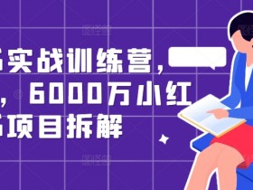揭秘小红书旅游项目的玩法，从引流到私域的收益模式