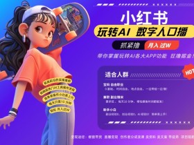 揭秘小红书旅游项目的玩法，从引流到私域的收益模式