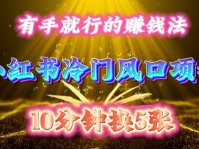 小红书旅游项目收益揭秘，从分类到推广的全流程教学