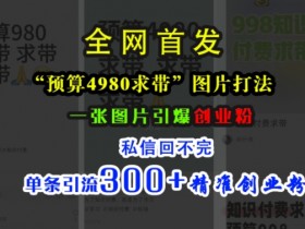 小红书旅游项目收益揭秘，从分类到推广的全流程教学