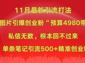 小红书旅游项目收益揭秘，从分类到推广的全流程教学