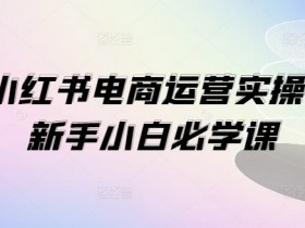 小红书掘金流量玩法揭秘，轻松实现日入四位数的虚拟项目