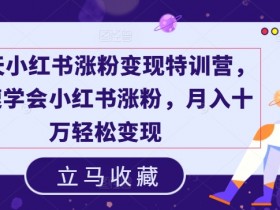 小红书掘金流量玩法揭秘，轻松实现日入四位数的虚拟项目