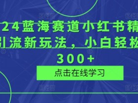 小红书掘金流量玩法揭秘，轻松实现日入四位数的虚拟项目