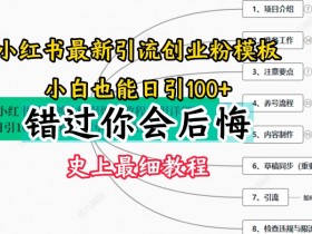 如何通过小红书掘金引流，暴力玩法日引150+的核心技巧