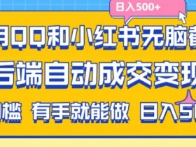 如何操作小红书掘金虚拟项目，从引流到收益的全流程解析