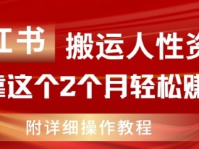 小红书掘金项目安全性解析，操作风险与收益的平衡点