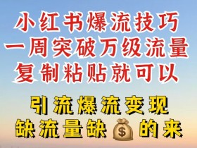小红书掘金项目安全性解析，操作风险与收益的平衡点