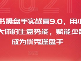 小红书掘金项目安全性解析，操作风险与收益的平衡点
