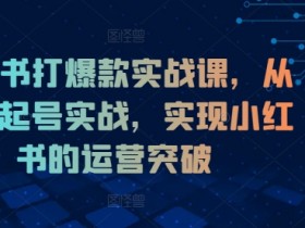 小红书掘金项目安全性解析，操作风险与收益的平衡点